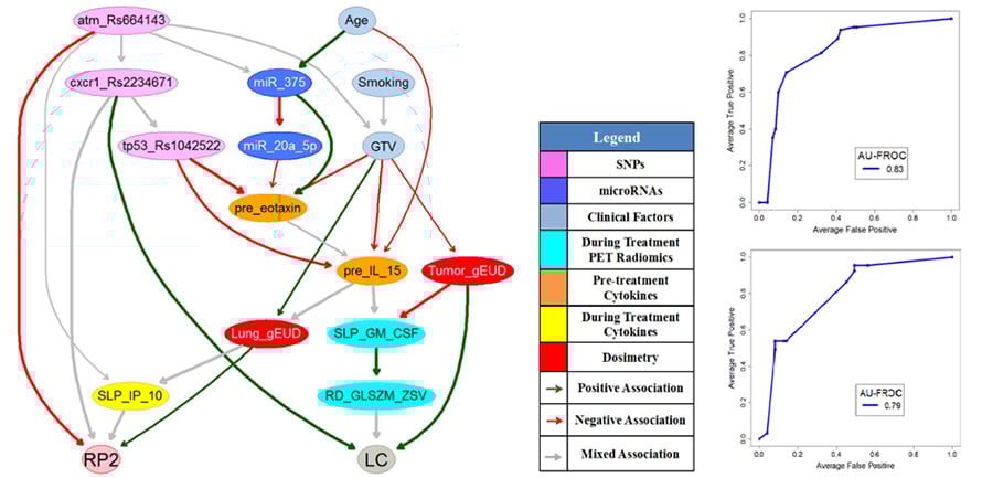 Graphic of human-in-the-loop radiotherapy