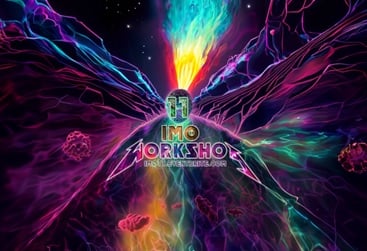 Graphic for the IMO Workshop 11