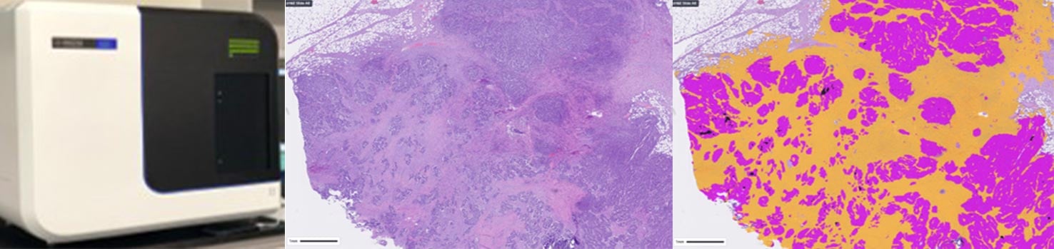 Computational and Digital Pathology Slides