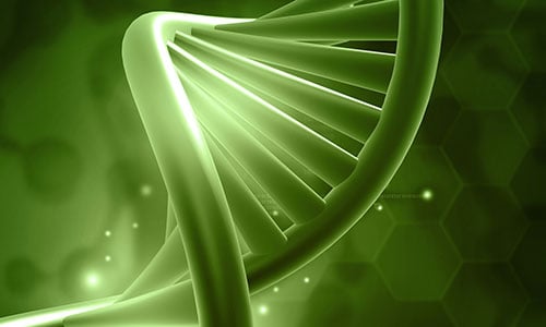 green DNA strand