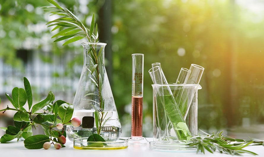plants and beakers on table