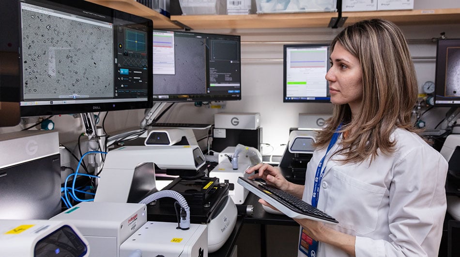 researcher in the Shain lab