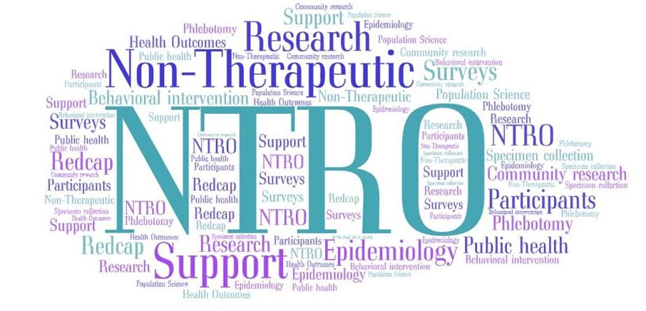 NTRO Word Cloud Support Surveys Research