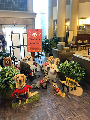 photo of pet therapy cutouts at Moffitt