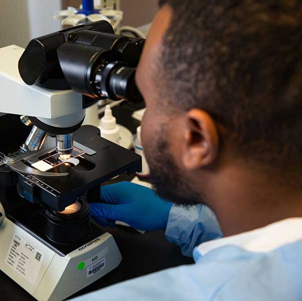 a researcher works with a microscope