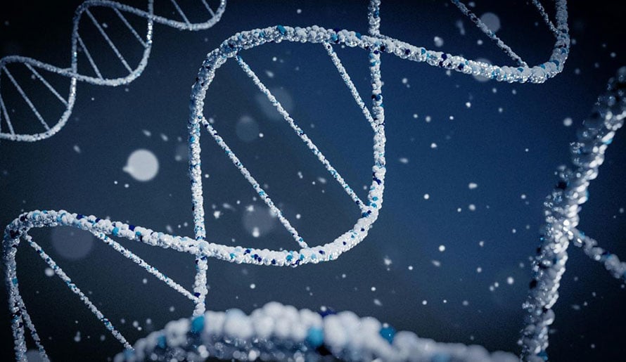 multiple myeloma strand