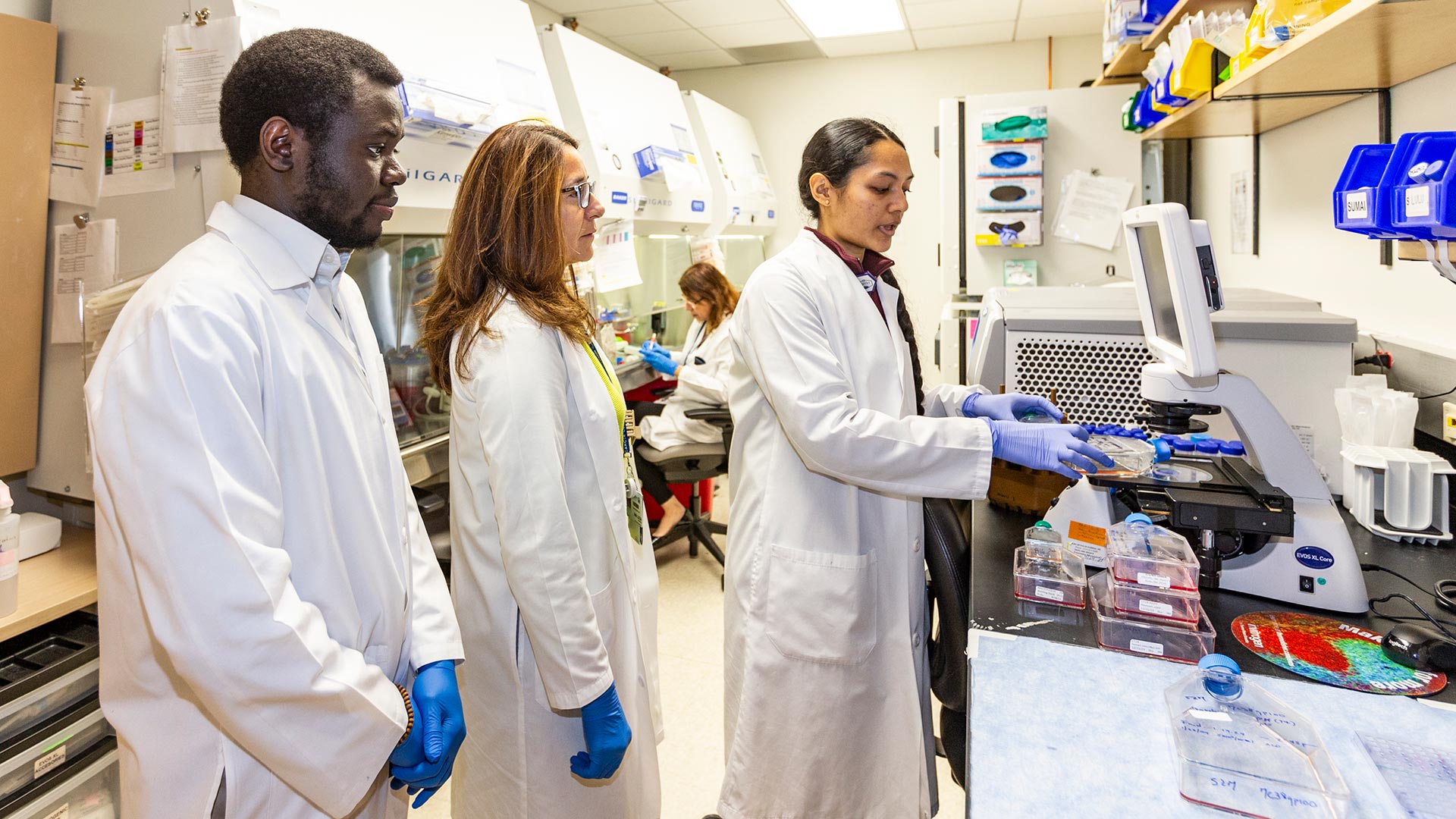 Dr. Hwu's lab