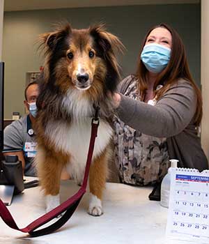 Rory the pet therapy pup visits the Thoracic Clinic at Moffitt 