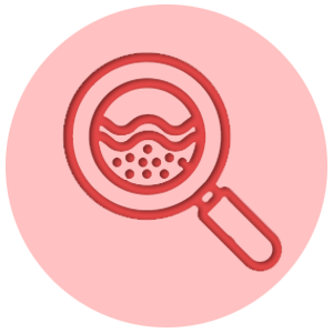 skin under microscope