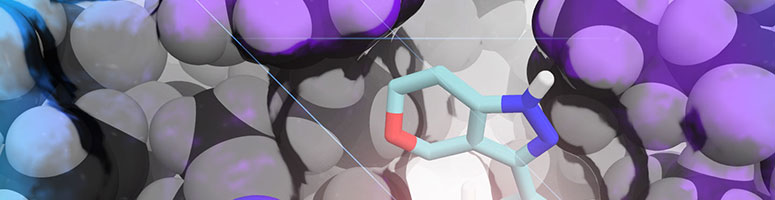 Tackling Ovarian Cancer by Studying It Outside the Body