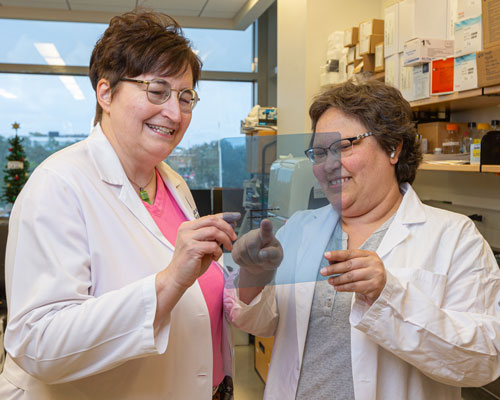 Martine Extermann, MD, PhD, left, and Didem Ilter, PhD, collaborate on a research project during one of Extermann’s days in the lab. As a physician scientist, Extermann splits her week among the clinic, lab and other duties.