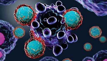 Office of Innovation and Industry Alliances