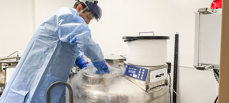 Zachary Sannasardo, experimental cell therapy technologist, removes frozen T cells from liquid nitrogen to begin growing more cells.