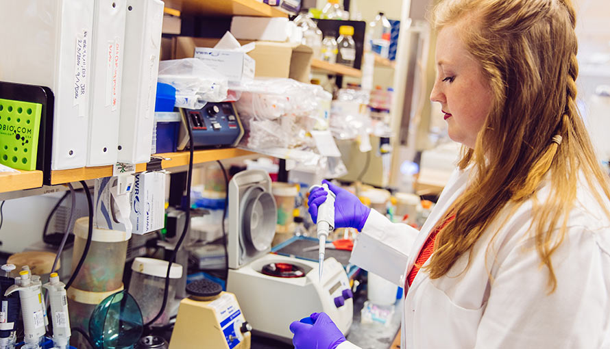 Cancer Biology PhD Program at Moffitt