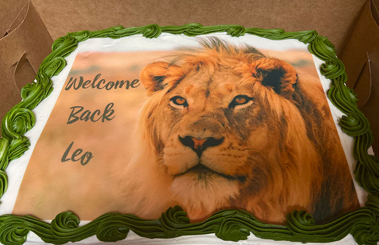 Begazo's coworkers surprised him with a luncheon and cake on his first day back.