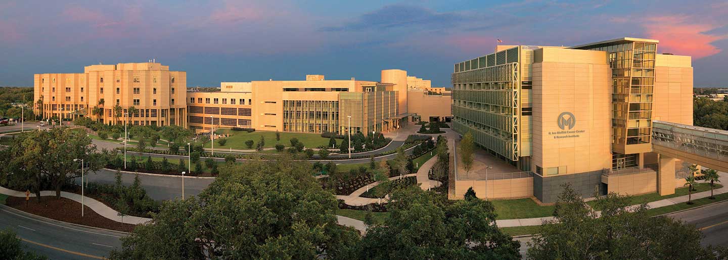 panoramic shot of Moffitt's campus