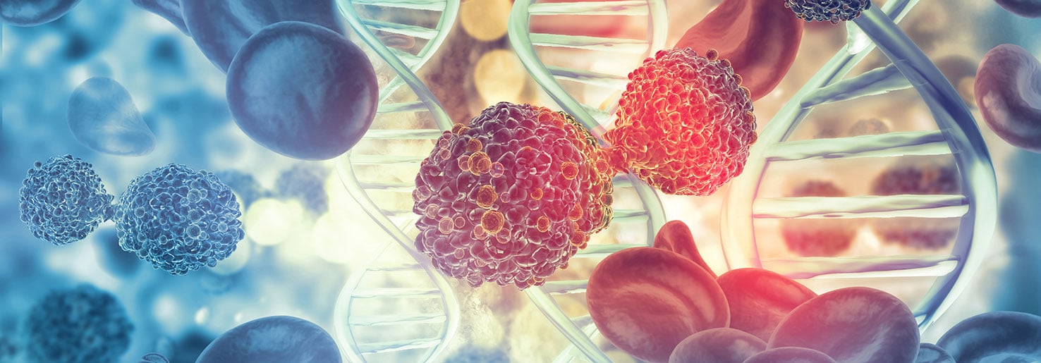 blood cancer shown under microscope