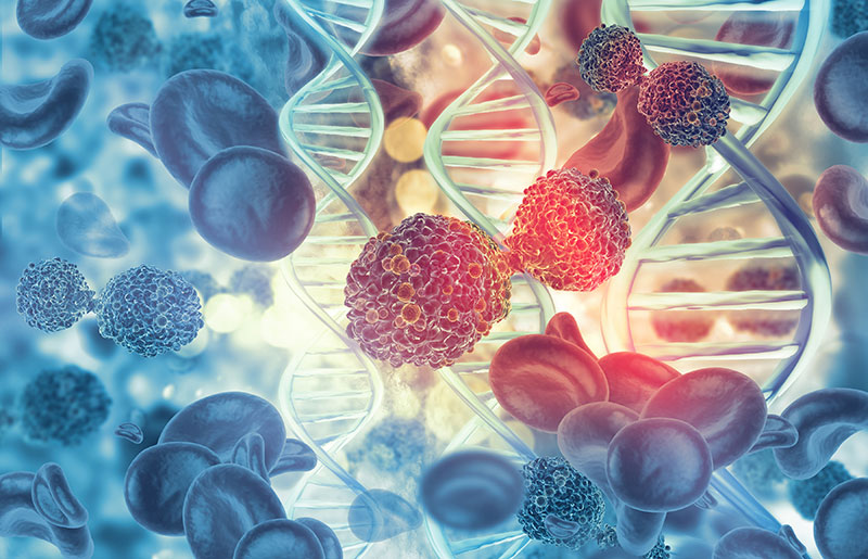 blood cancer shown under microscope