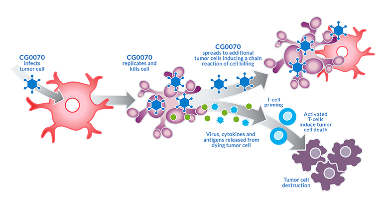 The trial will combine an immune checkpoint inhibitor with an oncolytic virus to ramp up the immune system to attack cancer cells.