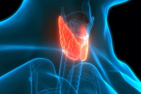 Thyroid cancer gland