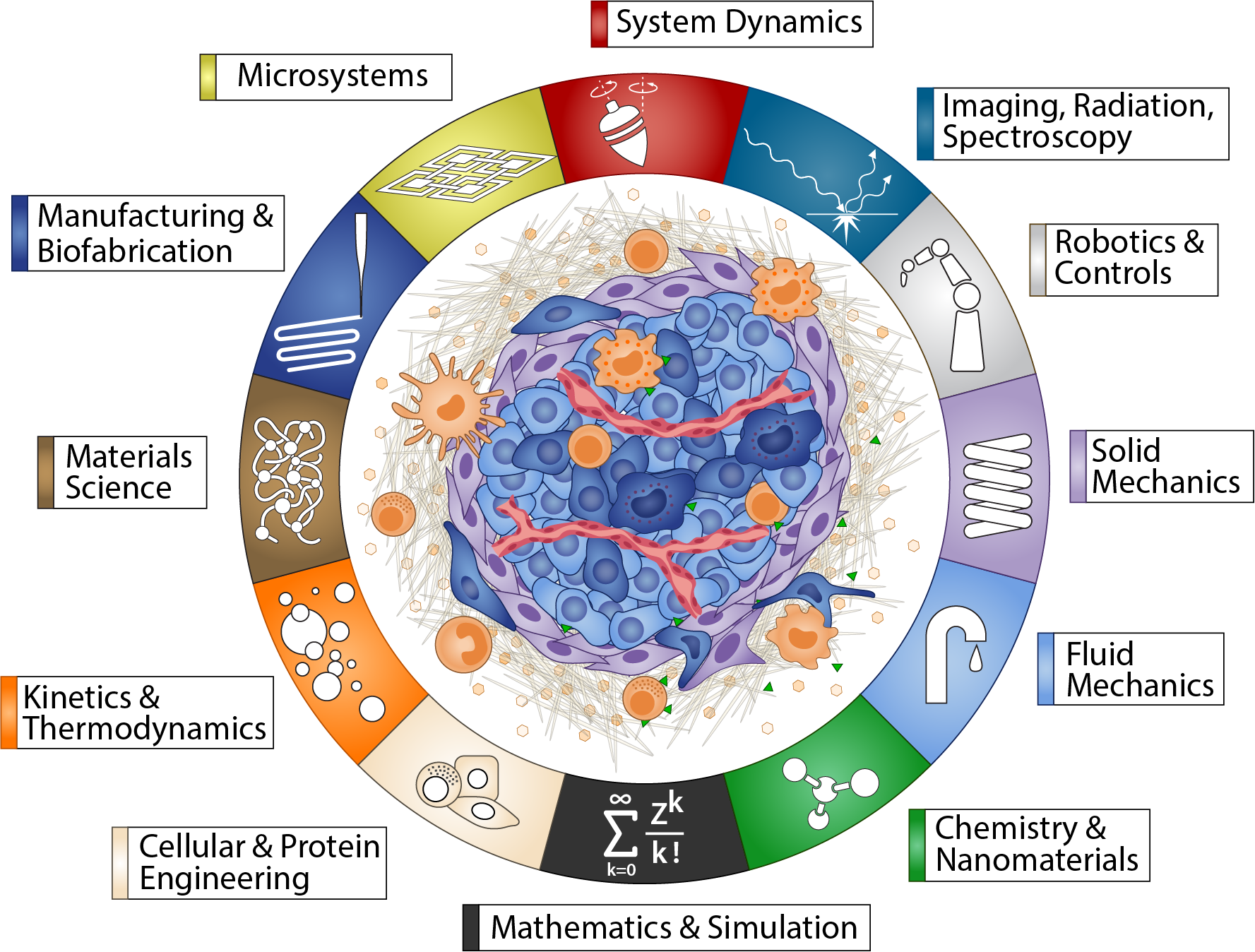Graphic showing 12 cardinal fields of Bioengineering