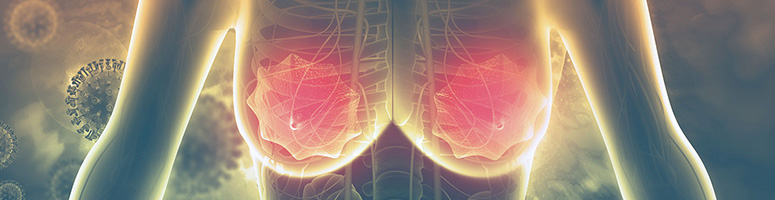 Ramping Up the Immune System to Fight Breast Cancer