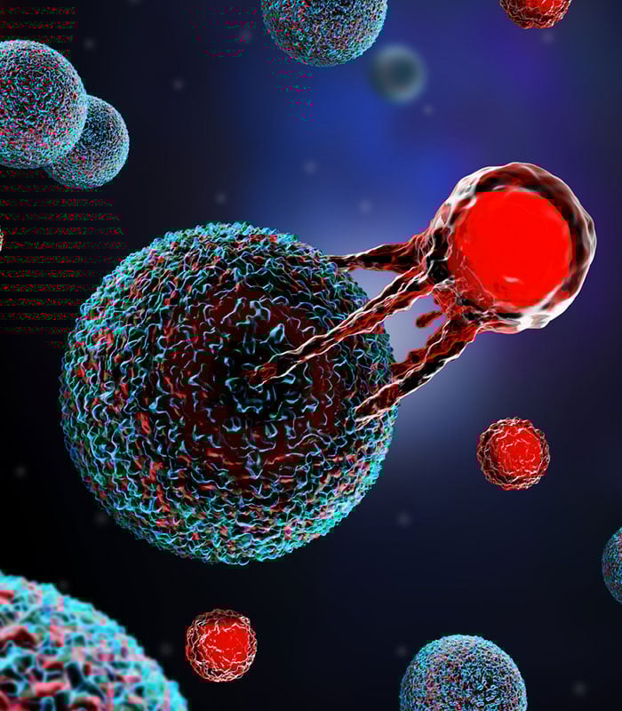 cancer tumor attacking cells