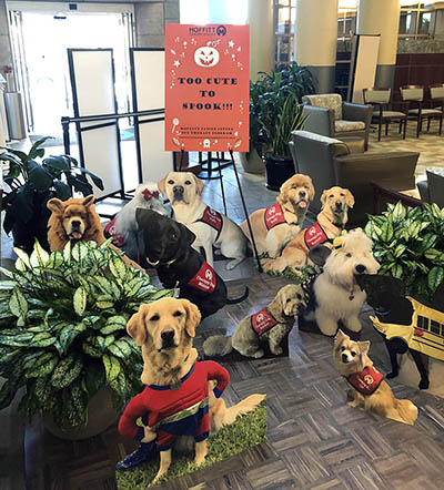 The Volunteer Services team had special signs and props created to help celebrate upcoming holidays.