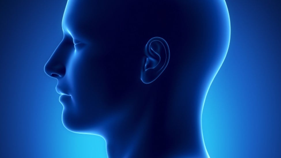 head and neck on blue background
