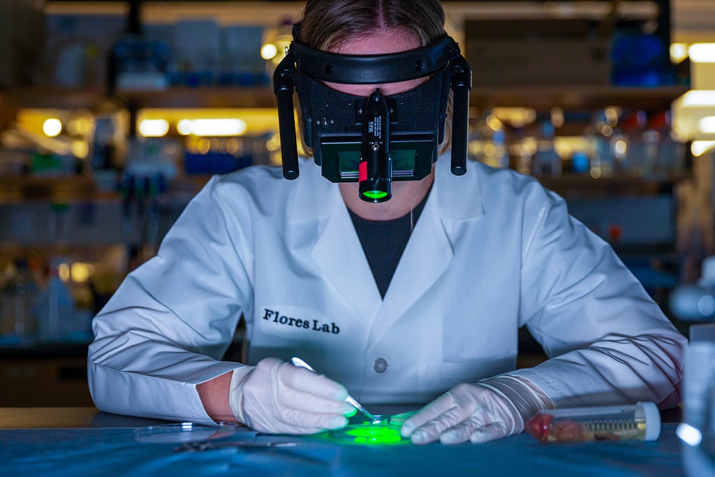researcher looking in microscope