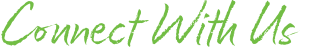 Connect With Us