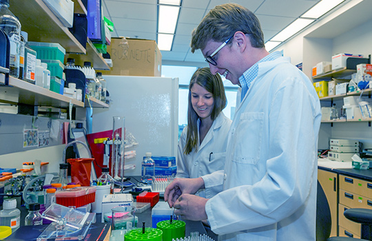 Student's working in the SPARK Lab