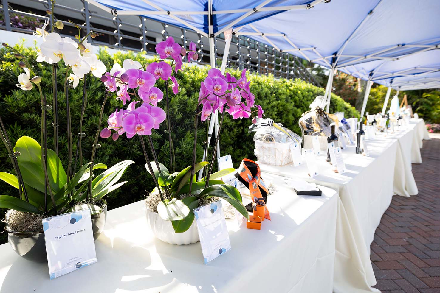 Moffitt Sarasota Luncheon