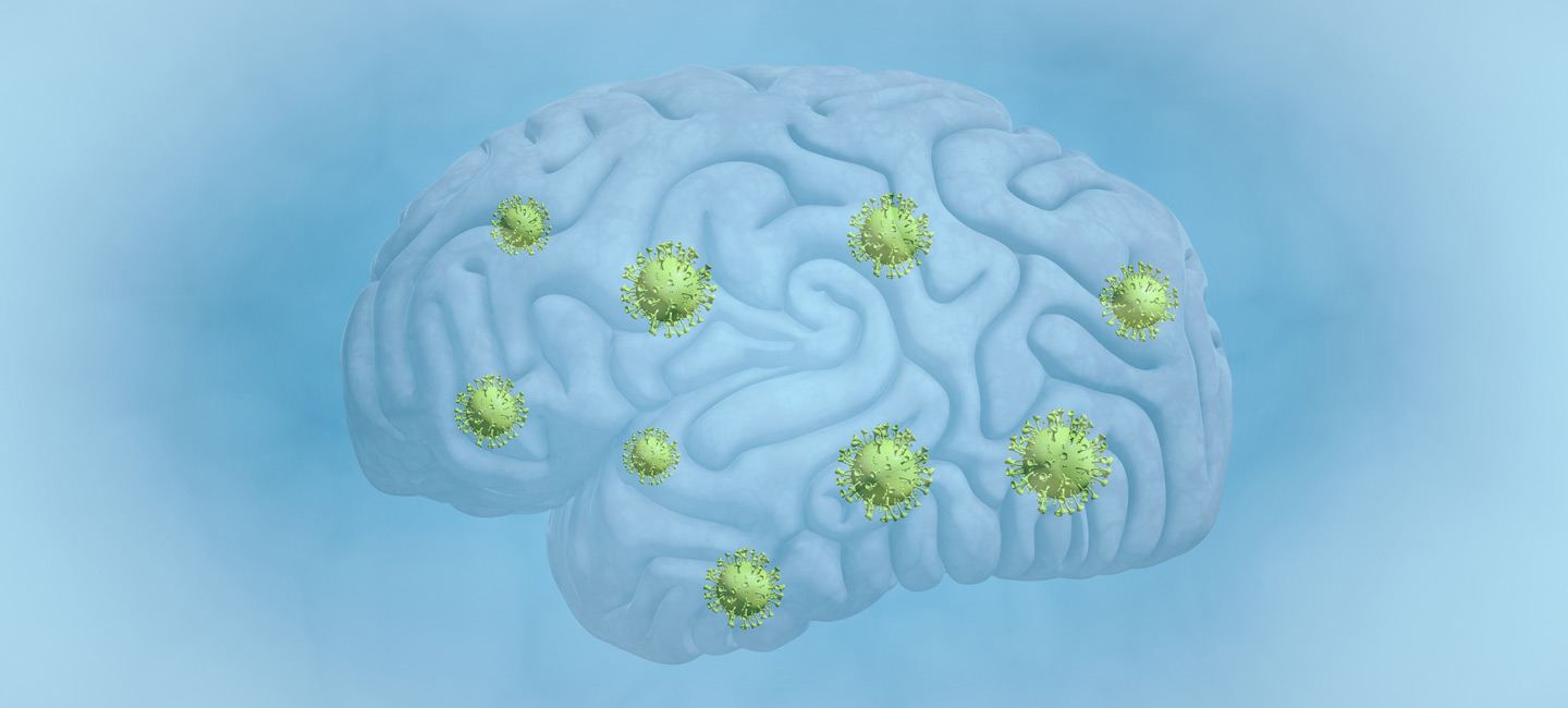 Computer generated profile image of the brain