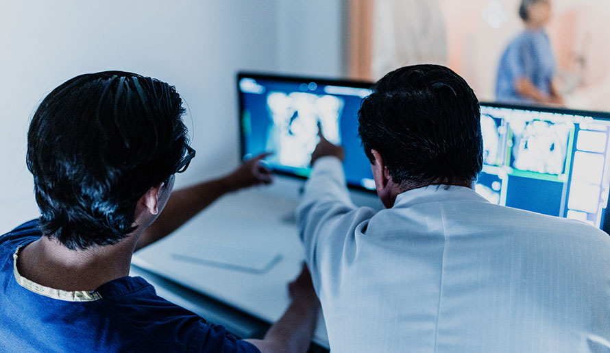 Faculty studying images 